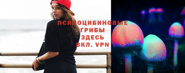 прущая мука Переславль-Залесский