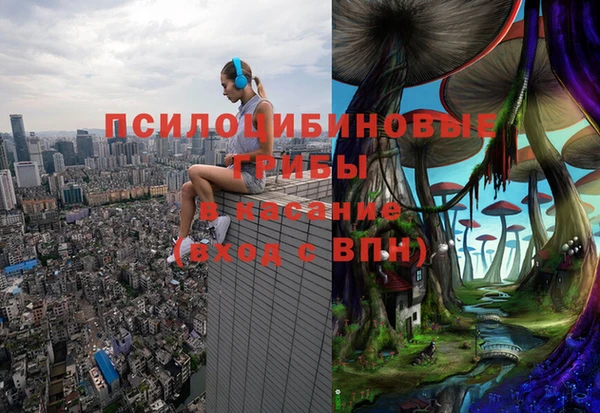 молекула духа Алексеевка