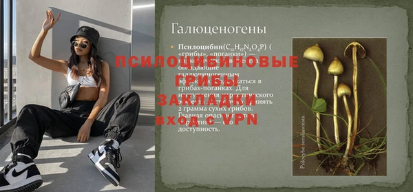 герыч Алзамай